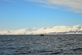 Husavik (22)